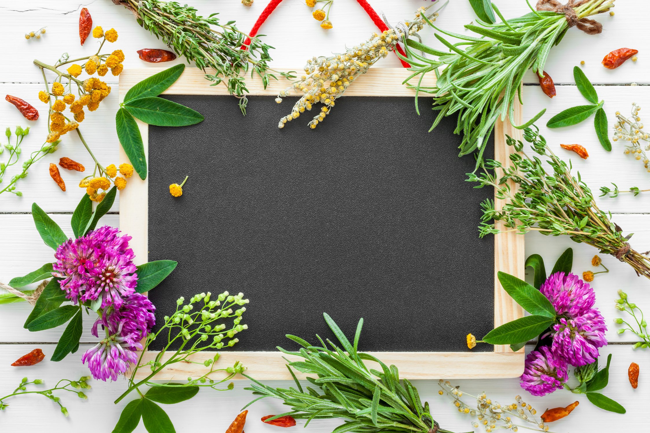 Blackboard Surrounded by Various Healing Herbs Flatlay